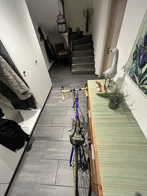 Vélos: Sannino Rennrad – D'occasion à Attinghausen par fla_xtb5 3