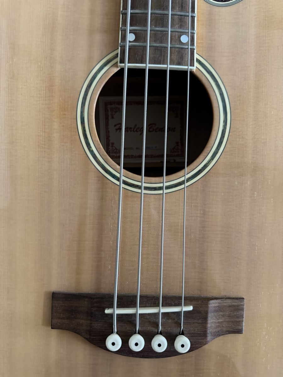Harley Benton Musikinstrumente: Chitarra basso acustico Harley Benton + custodia Ritter – Gebraucht aus Dietikon von musiko 1