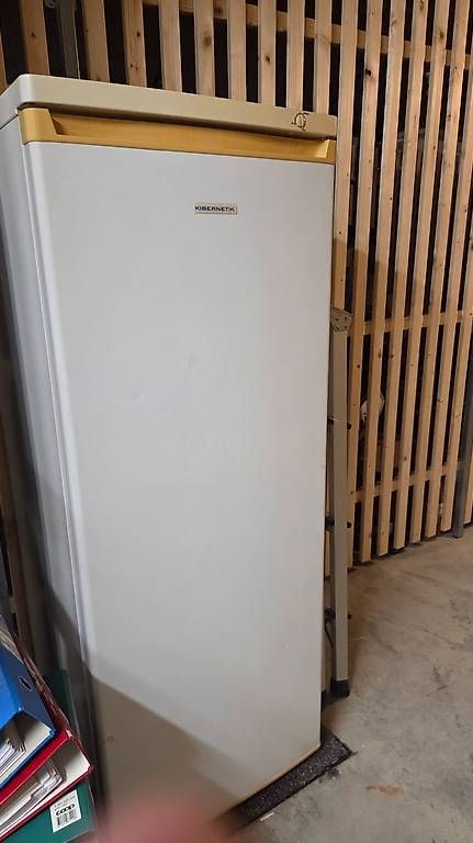 Congelatori: Congélateur 160 litres – Usato da Martigny venduto da joh_529v 3