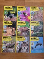 Lot de 9 revues Petite Salamandre 4-7 ans parfait état