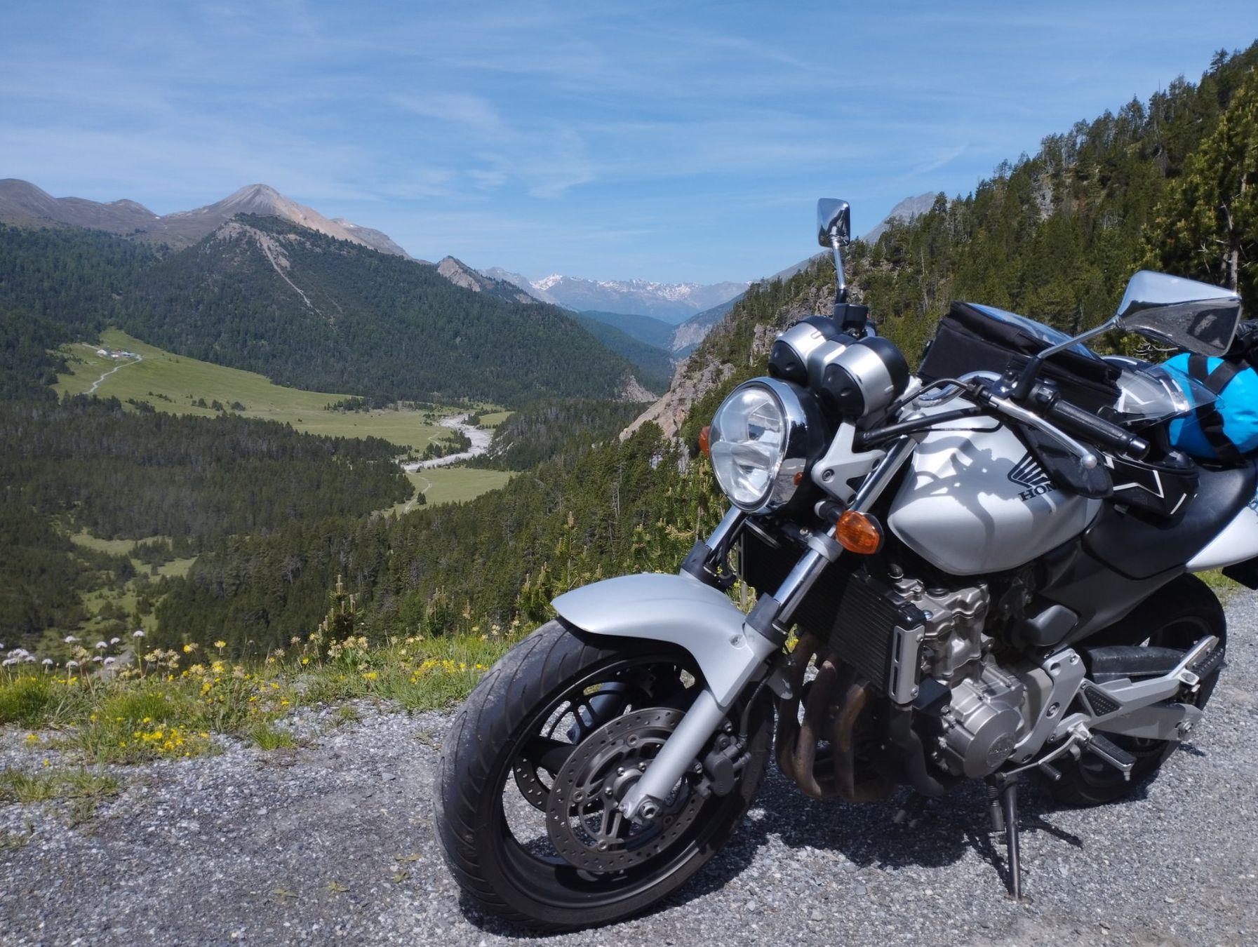 Honda Strada: Honda CB600F Hornet – Usato da Berneck venduto da Saar67 1