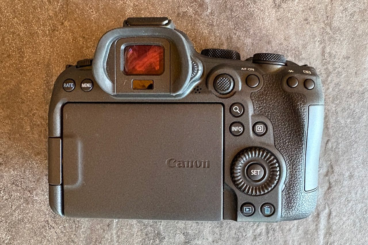 Canon Fotocamera: Canon EOS R6 Mark II – Usato da Levron venduto da 23475 1