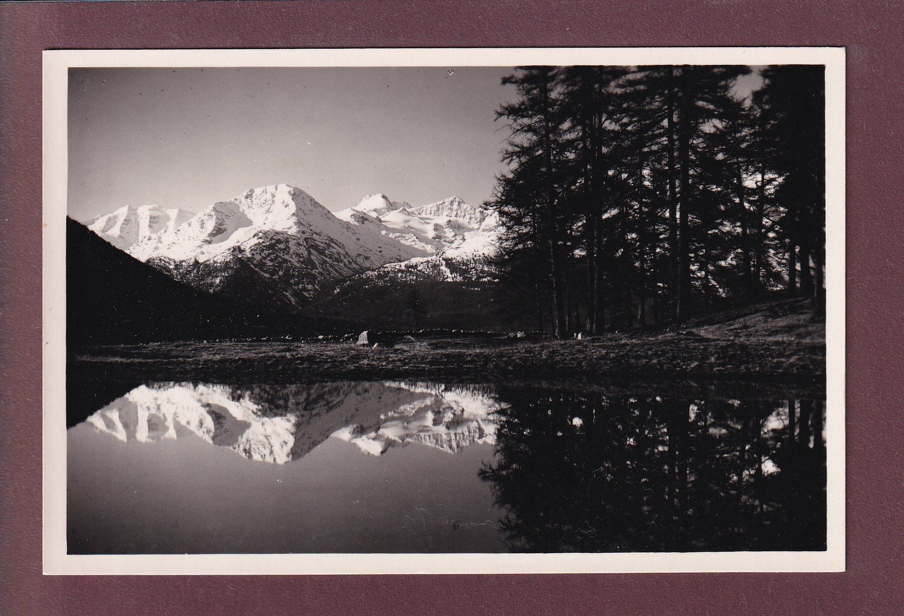 Cartoline postali: Samedan - BERNINA-GRUPPE – Usato da Pully venduto da nicecards