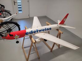 Airliner Edelweiss, mit Verbrenner und Hitec HS- 81Servos