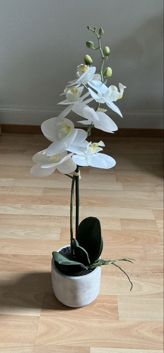 Manor Tutte le decorazioni: Blume – Nuovo (secondo la descrizione) da St.Gallen venduto da nat_7n75