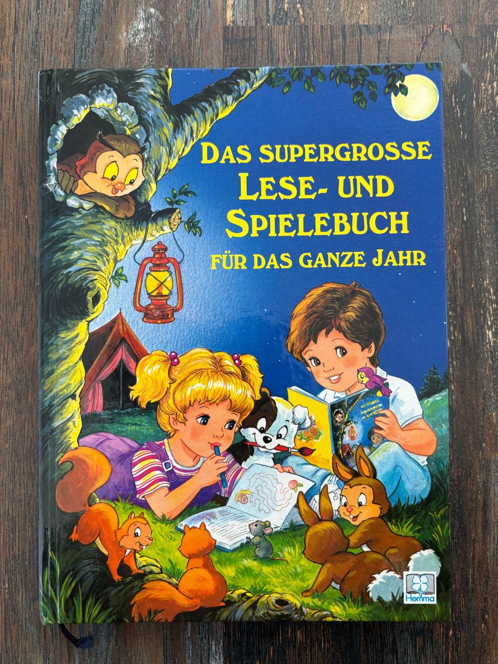 Libri: Lese- und Spielebuch – Usato da Hägendorf venduto da dgswiss