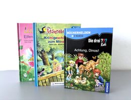 Buch Kinderbuch Lesetiger Leserabe Bücherhelden 2. Klasse