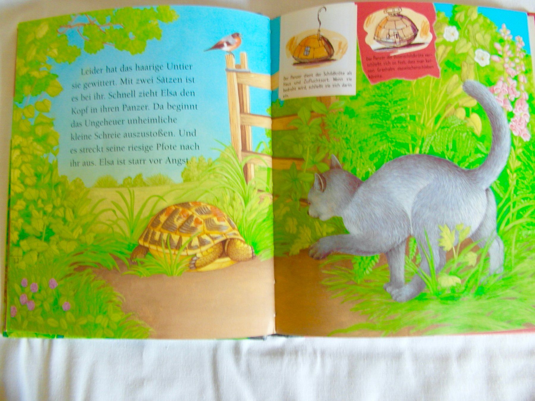 Libri: Kinderbuch: Die Schildkröte - 2002 – Usato da Schönenbuch venduto da Imagine6 3