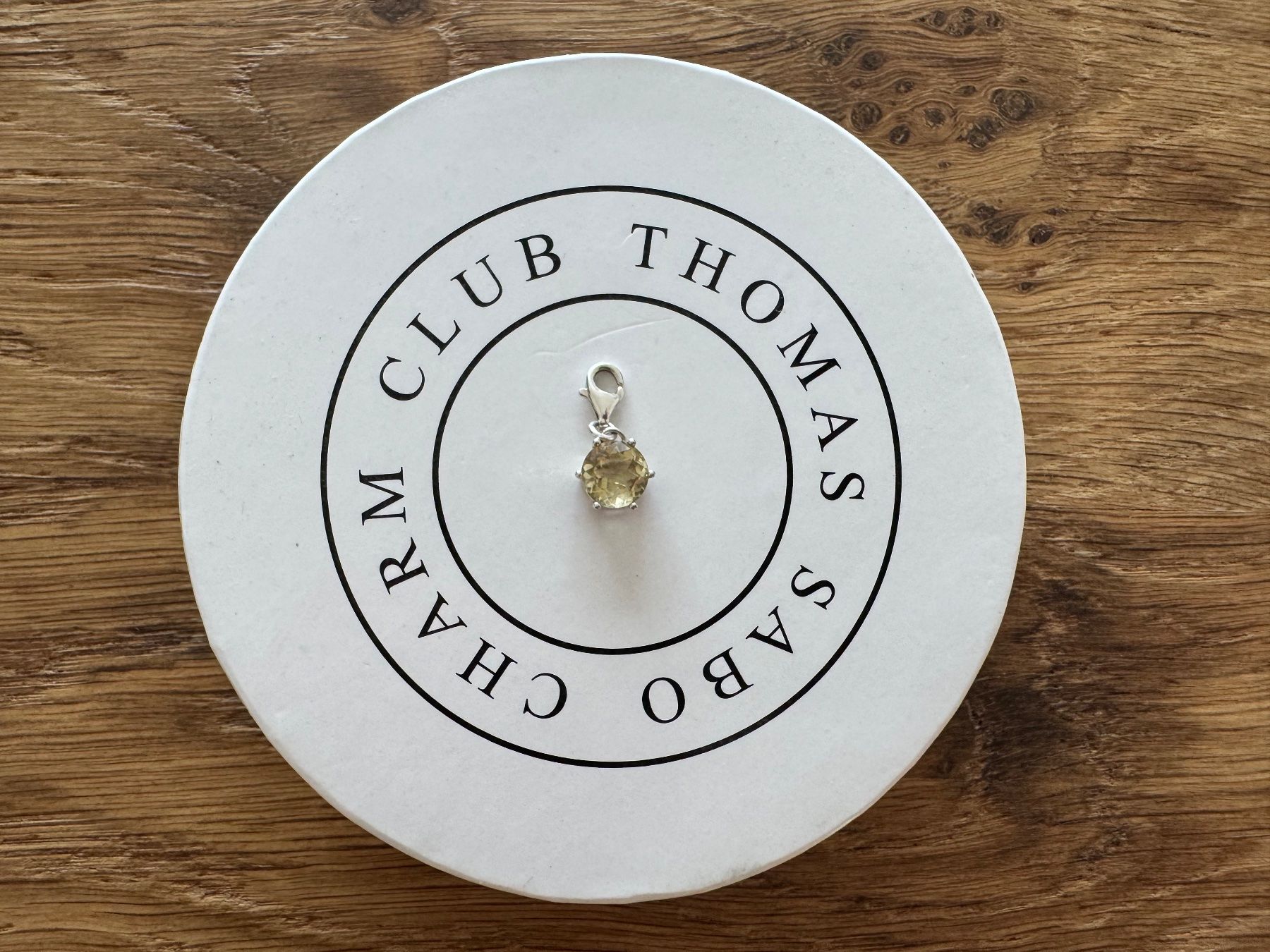Thomas Sabo Ciondoli: Wunderschöner Geburtsstein (Charm) von Thomas Sabo – Nuovo (secondo la descrizione) da Zürich venduto da Neptun28