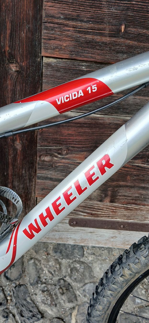 Wheeler Biciclette: MTB WHEELER 26" – Usato da Adliswil venduto da trujillo01 8
