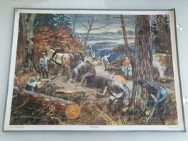 Schulwandbild Nr. 46 Holzfäller