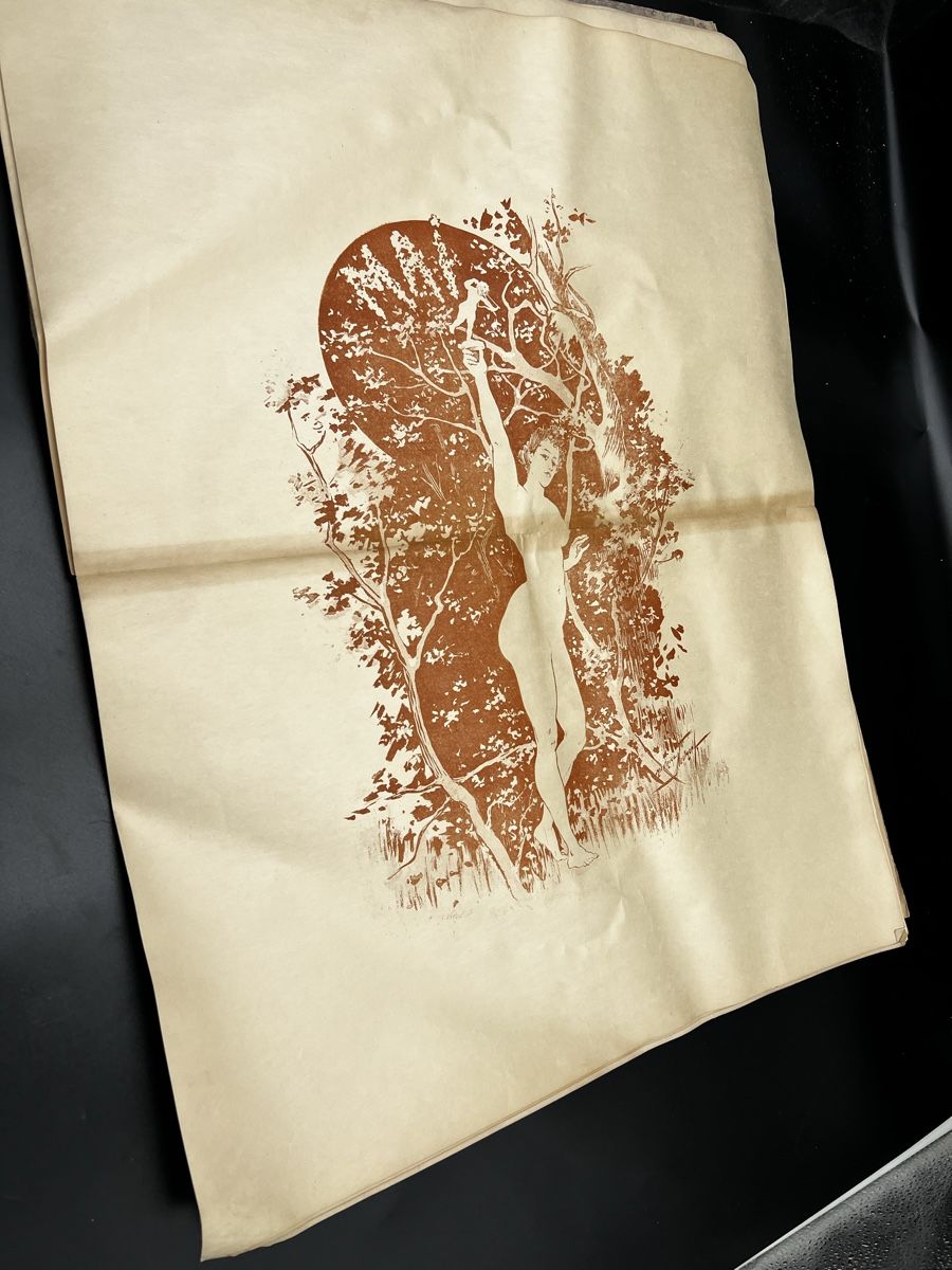 Grafiken & Lithographien: Les Mois fin de siecle komplett! – Gebraucht aus Wettingen von NickInc 5