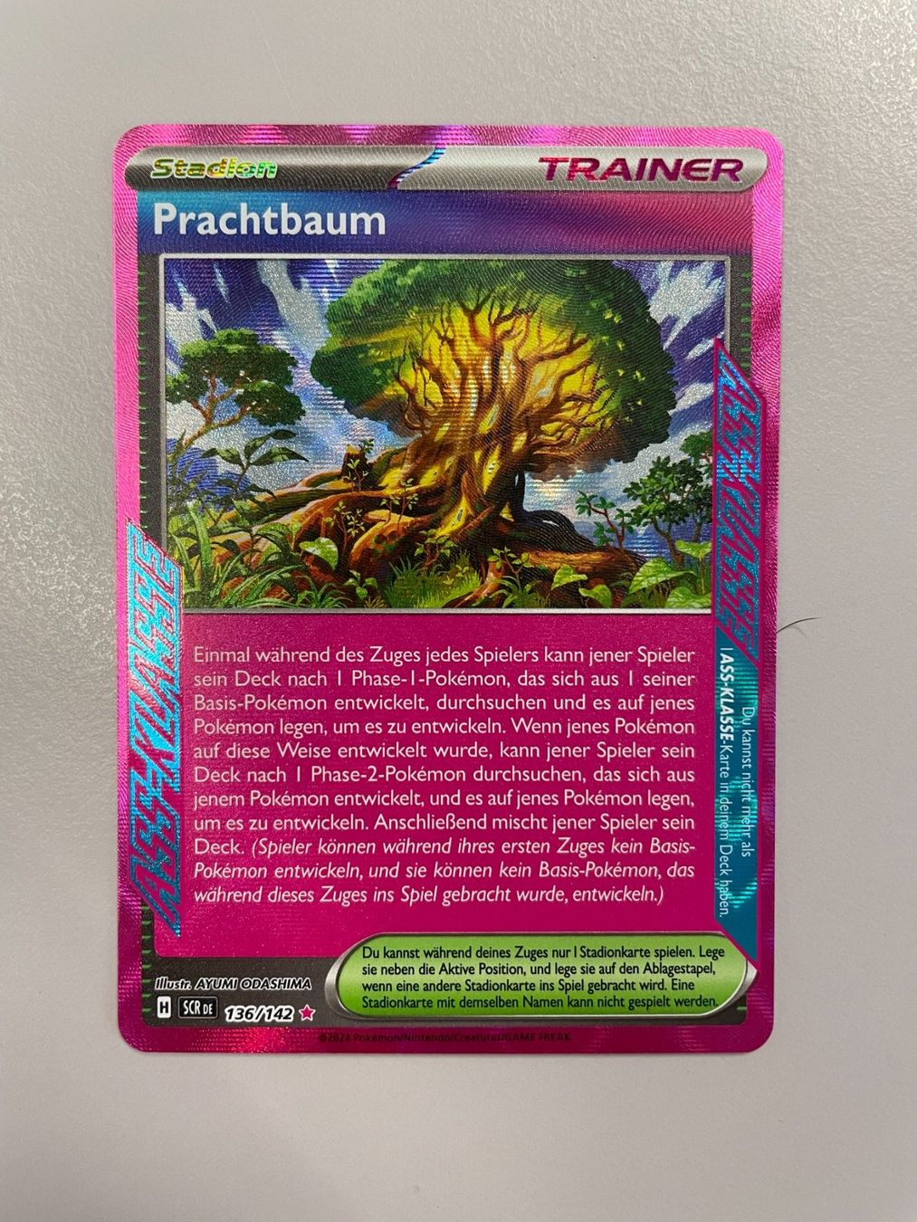 Pokémon Carte collezionabili: Pokemon Prachtbaum (Versand gratis) – Nuovo (secondo la descrizione) da Chur venduto da Angerson