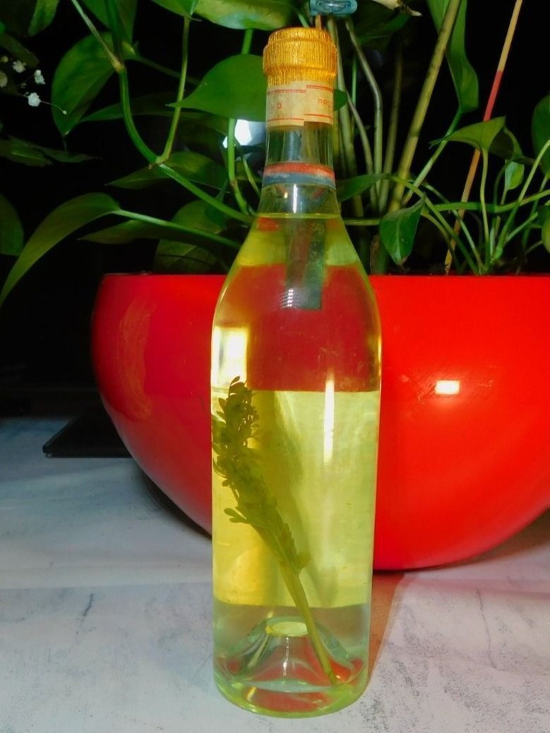 Spirituosen: Vintage Vecchia Grappa Ticinese SAPI 1960s – Neu (gemäss Beschreibung) aus Emmenbrücke von Ulisse-22 1