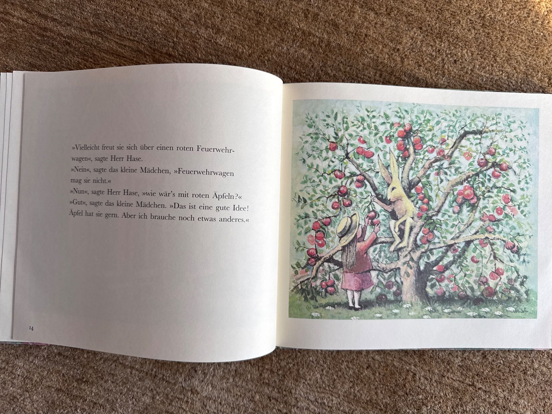Libri: Herr Hase und das schöne Geschenk – Usato da Aarau venduto da Kilauea 3