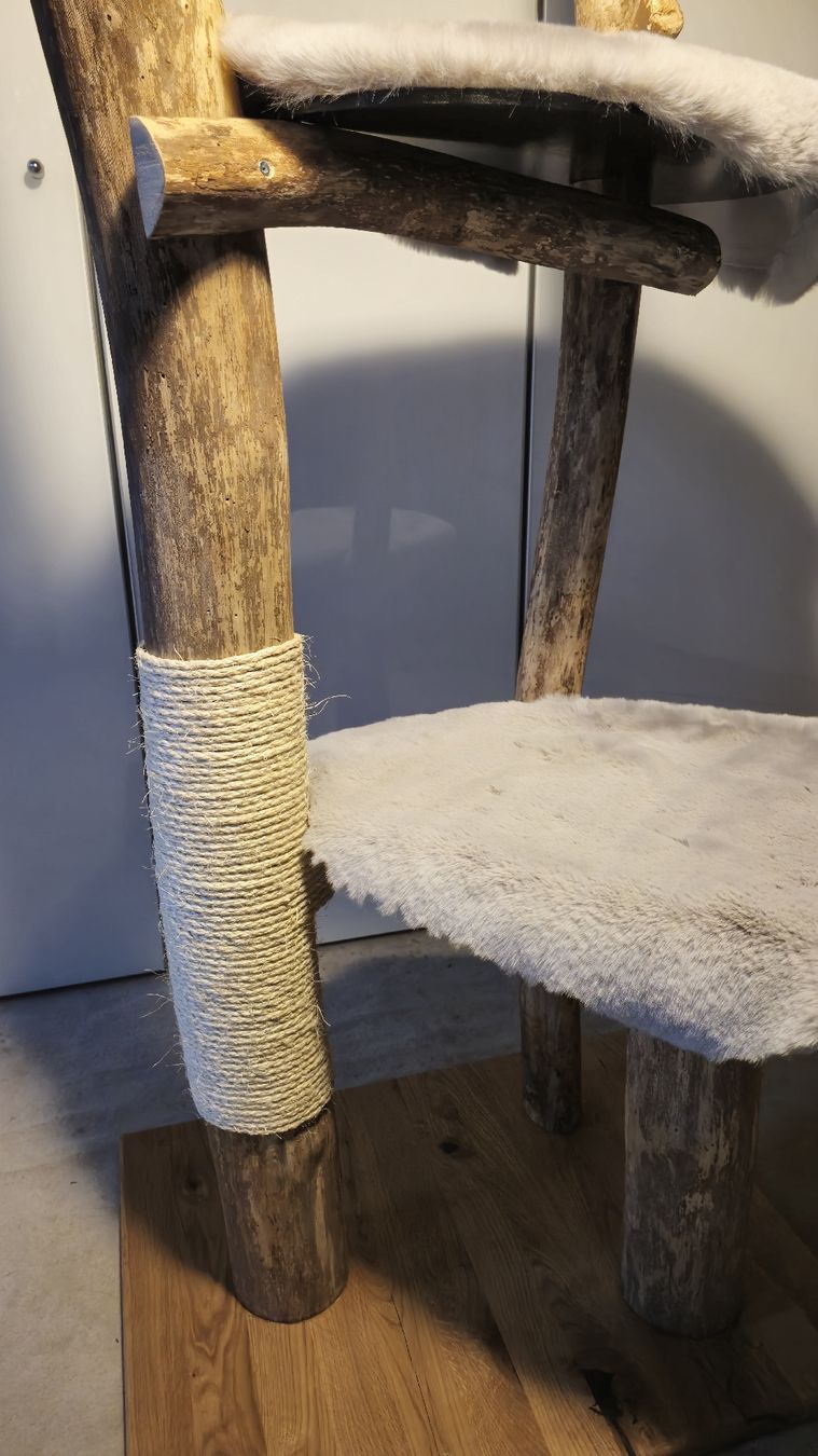 Tiragraffi: Natur Katzenbaum/ Kratzbaum – Nuovo e nell'imballaggio originale da Appenzell Meister. venduto da Morize98 5