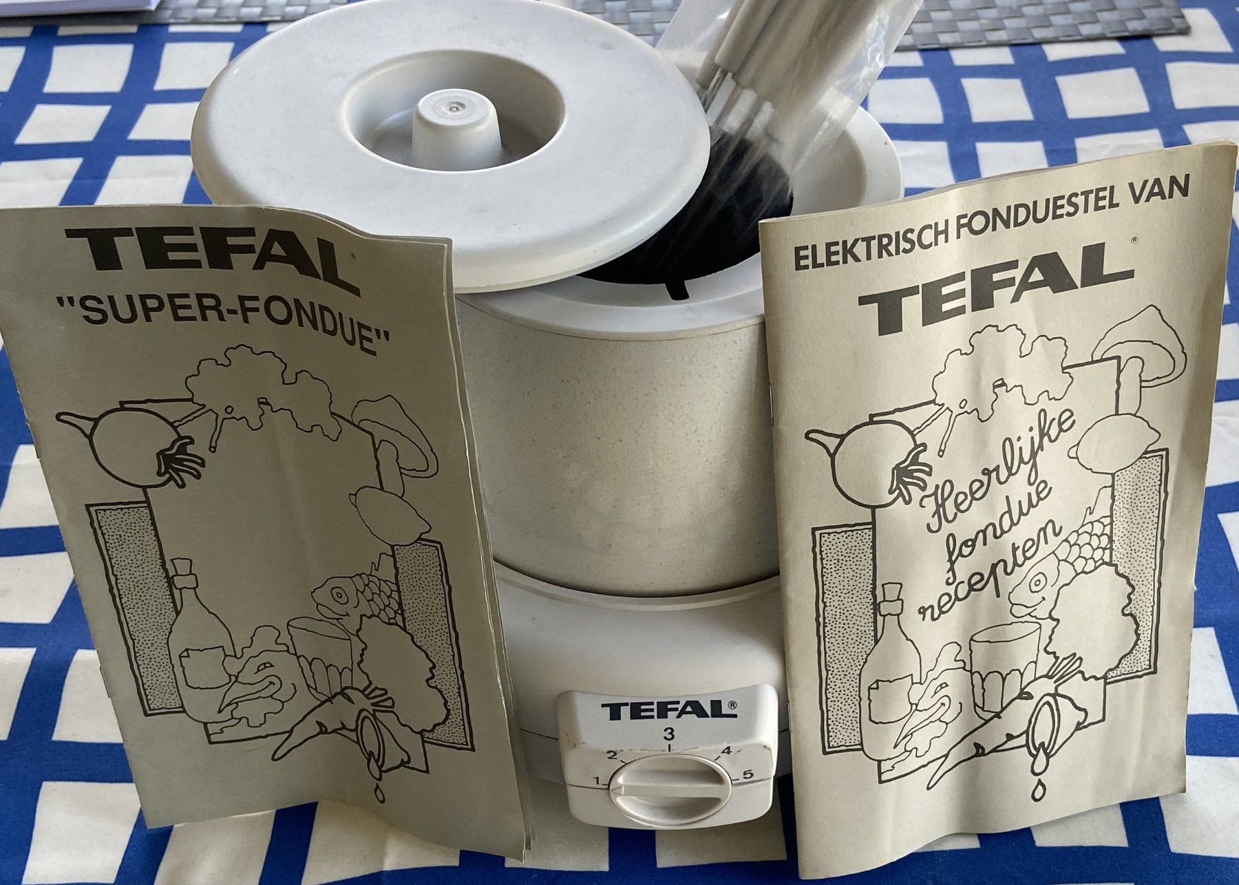 Tefal Elettrodomestici da cucina: Tefal Super Fondue – Usato da Böckten venduto da Hansi36 2