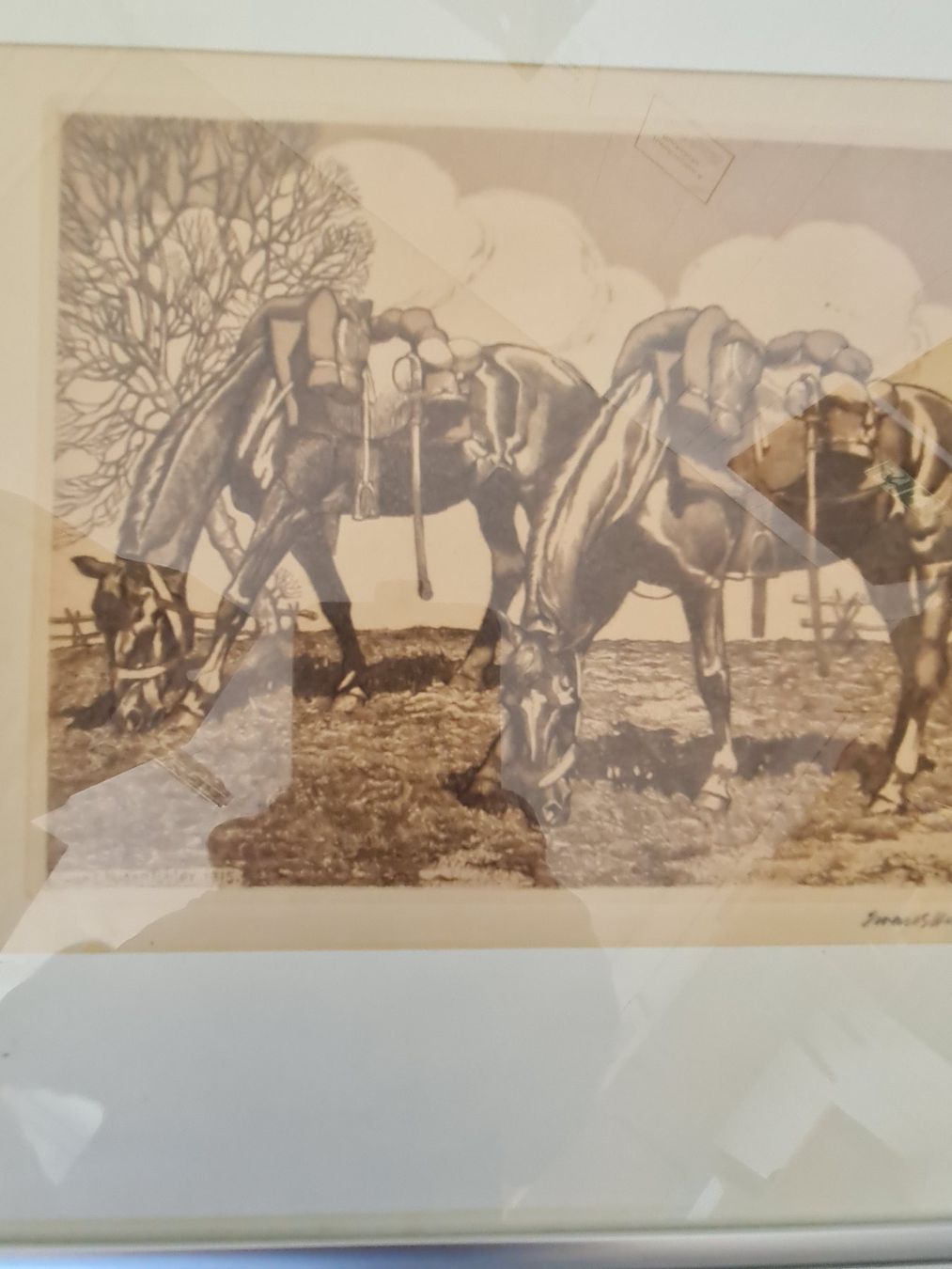 Foto & Immagini: Iwan Edwin Hugentobler 4 Bilder – Usato da Degersheim venduto da Tosam_Degersheim 3