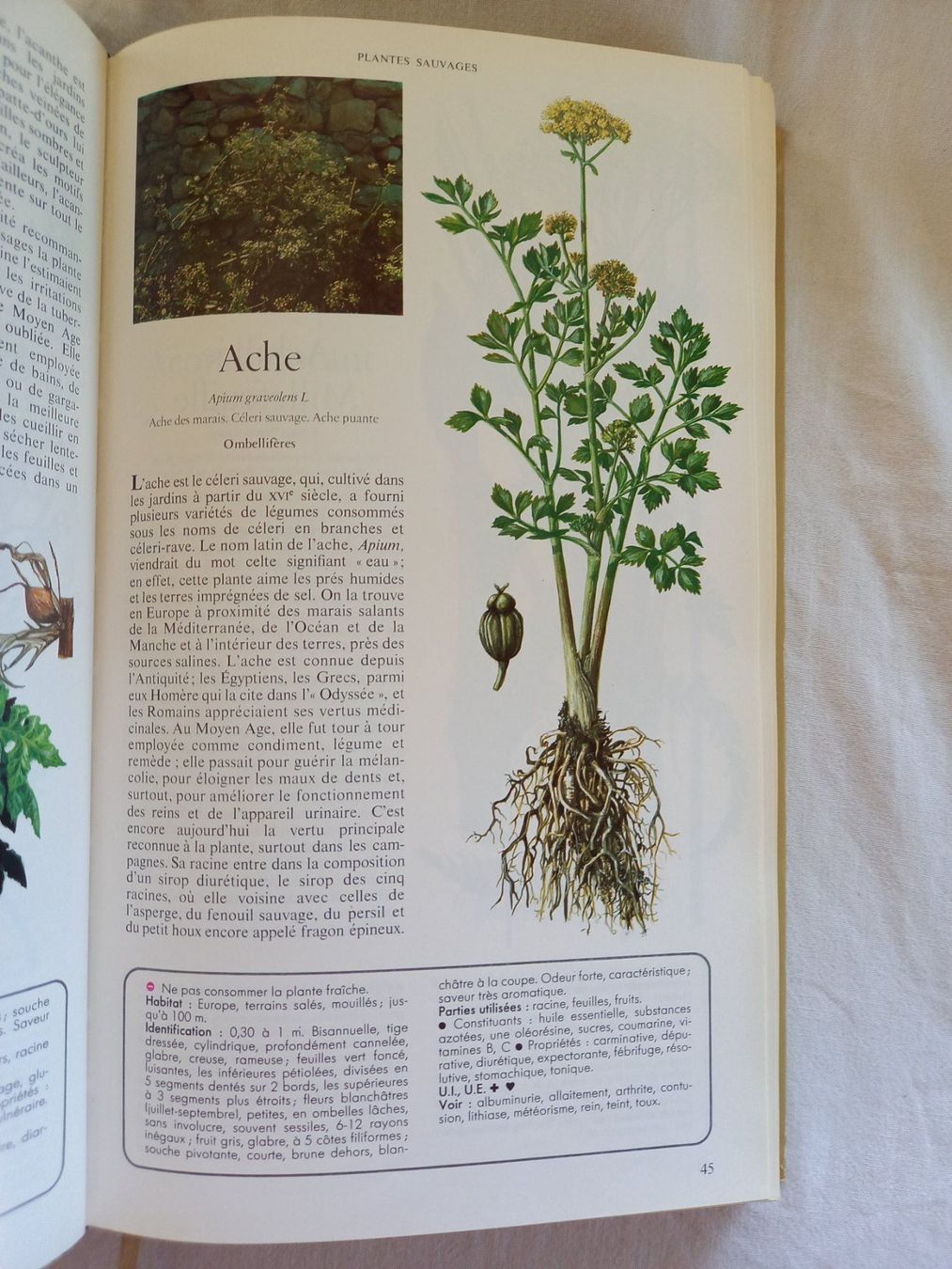 Libri: Secrets et vertus des plantes médicinales, Reader's Digest – Usato da Rossens FR venduto da Souris1 6