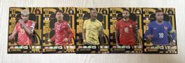 Panini Golden Baller Karten ! Top Zustand 
