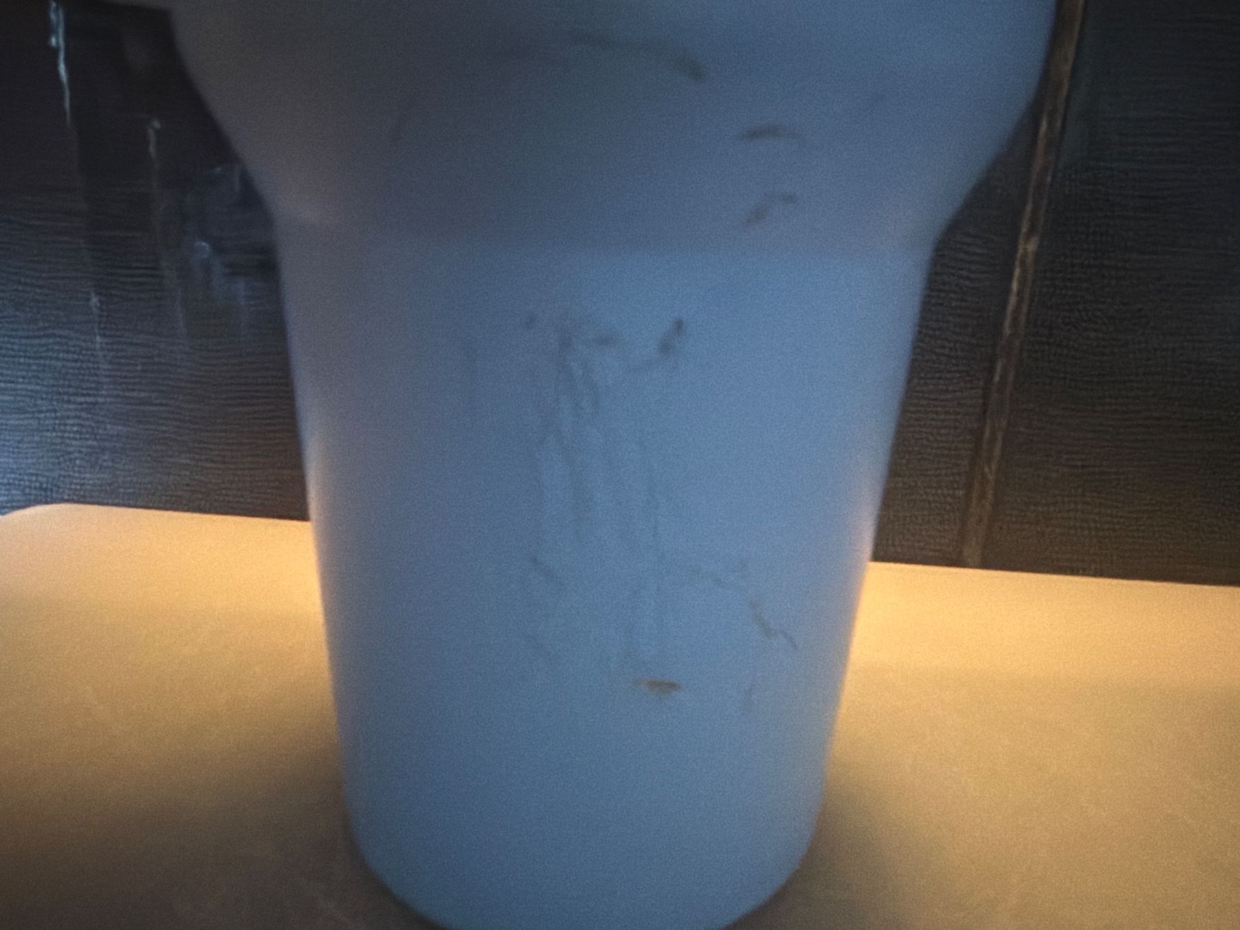 Gourdes & Thermos: Stanleycup artiger Thermo Becher – D'occasion à bülach par Happylion1 1