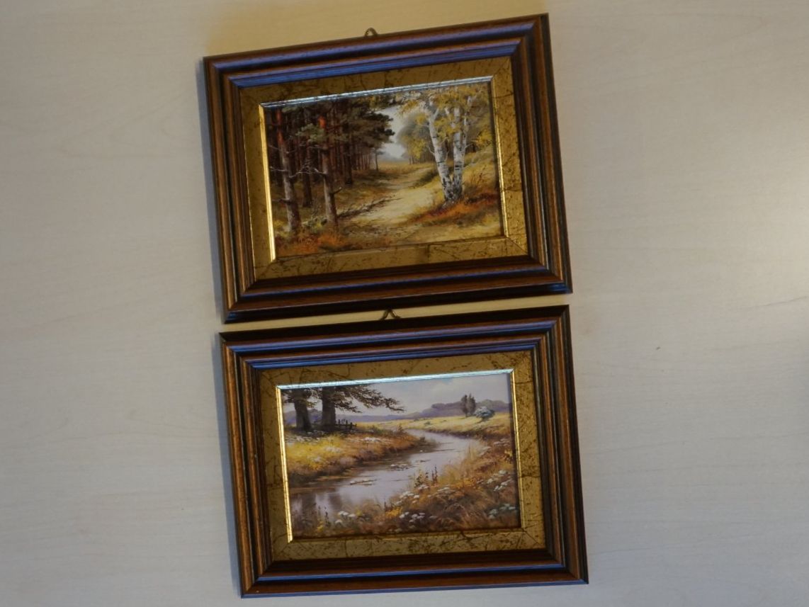 Foto & Immagini: Landschaftsbilder, 2-Set klein – Nuovo (secondo la descrizione) da Giswil venduto da sowo60