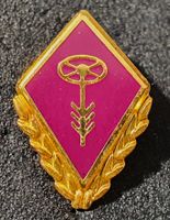 CC767  Pin Swiss Army Militär Armee Wagenführer Motorfahrer