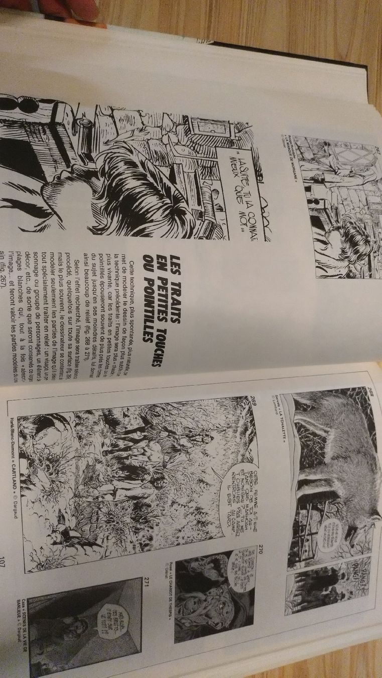 Fumetti: L'Art de la BD, Duc, T1 et T2 – Usato da Farvagny-le-Grand venduto da LaCaverne 5