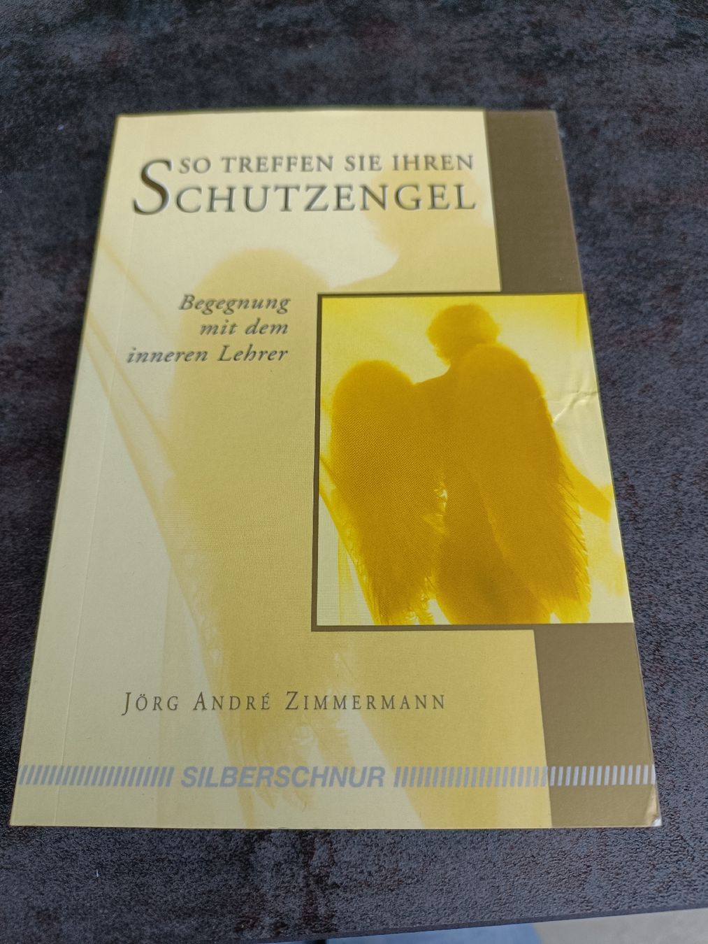 Libri: Schutzengel - so treffen sie ihren Schutzengel – Nuovo (secondo la descrizione) da Gossau SG venduto da scania1509