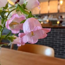 Profile image of RedCafe