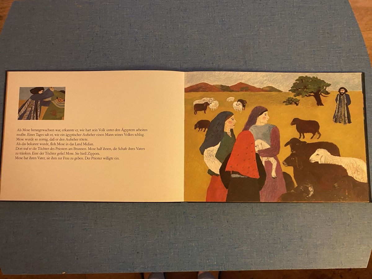 Libri: Kinderbuch "Mose" von Gisela Degler-Rummel – Usato da Schaffhausen venduto da purzel51 2