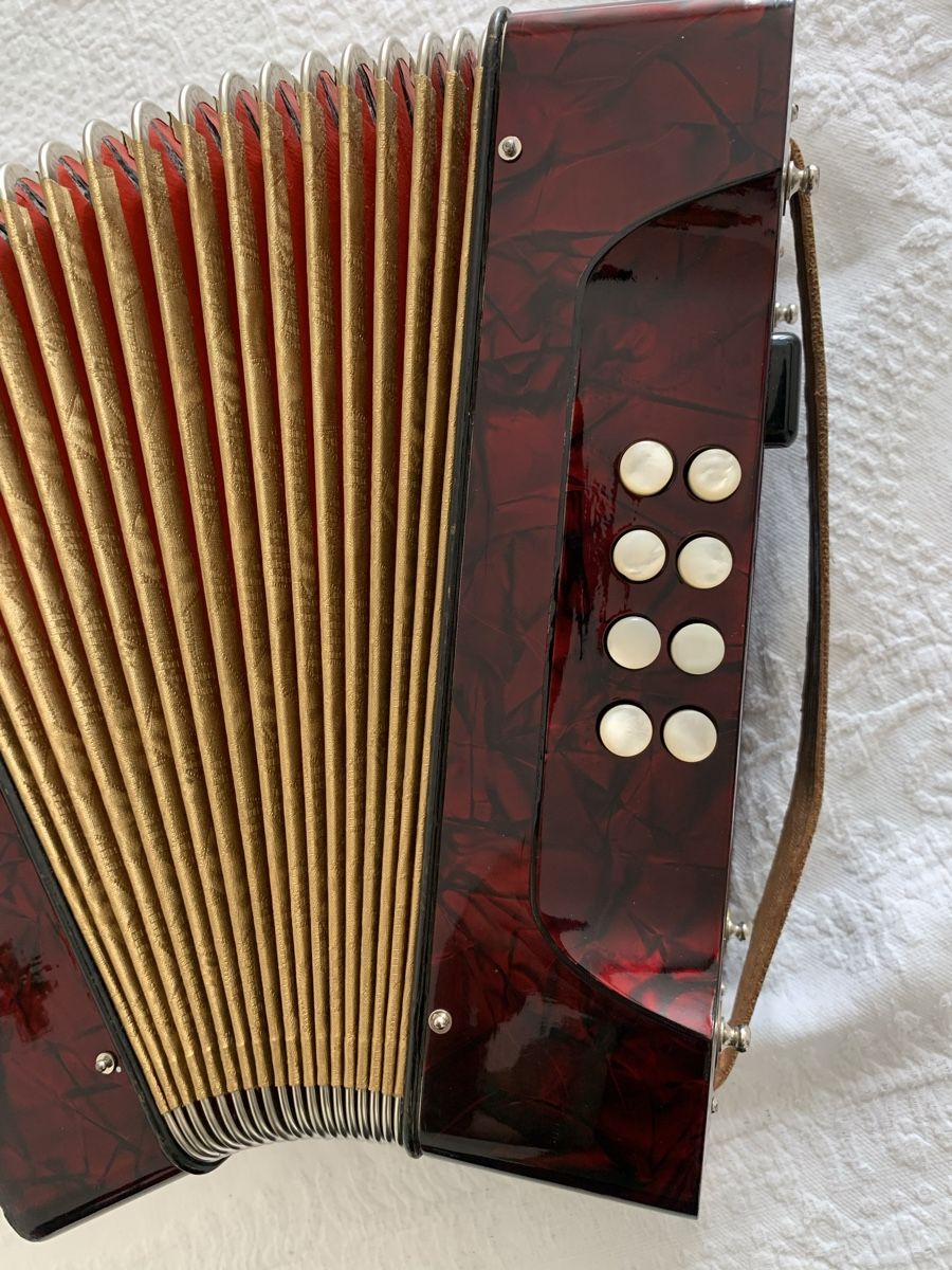 Hohner Strumenti musicali: Diatonische Handorgel/Concertina Sol – Usato da Zürich venduto da Olimpied 3