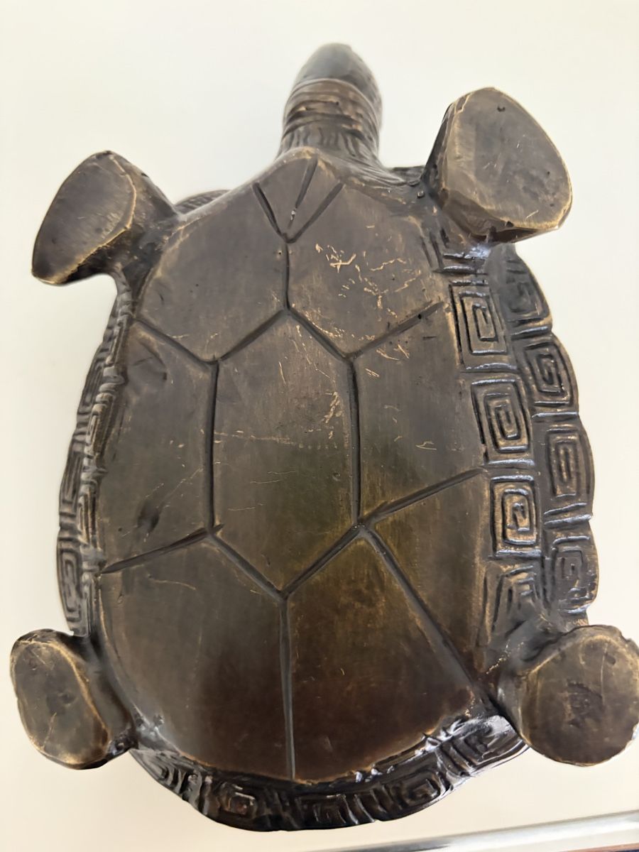 Sculture & Statue: Bronze, Schildkröte detailliert – Nuovo (secondo la descrizione) da Zürich venduto da eileenchen1 7