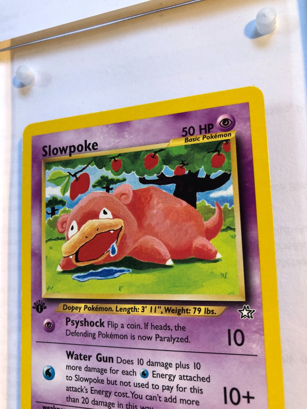 Carte collezionabili: Slowpoke 1st Neo Genesis - MINT - ab 1.- – Usato da Giubiasco venduto da dan_pr8b 3