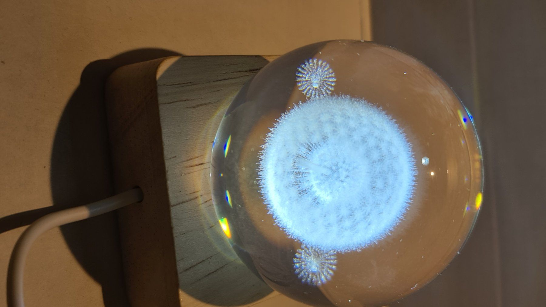 Tutte le decorazioni: 3D Löwenzahn Gravierte Globus 60mm – Nuovo (secondo la descrizione) da Uerkheim venduto da Kaufoption 4