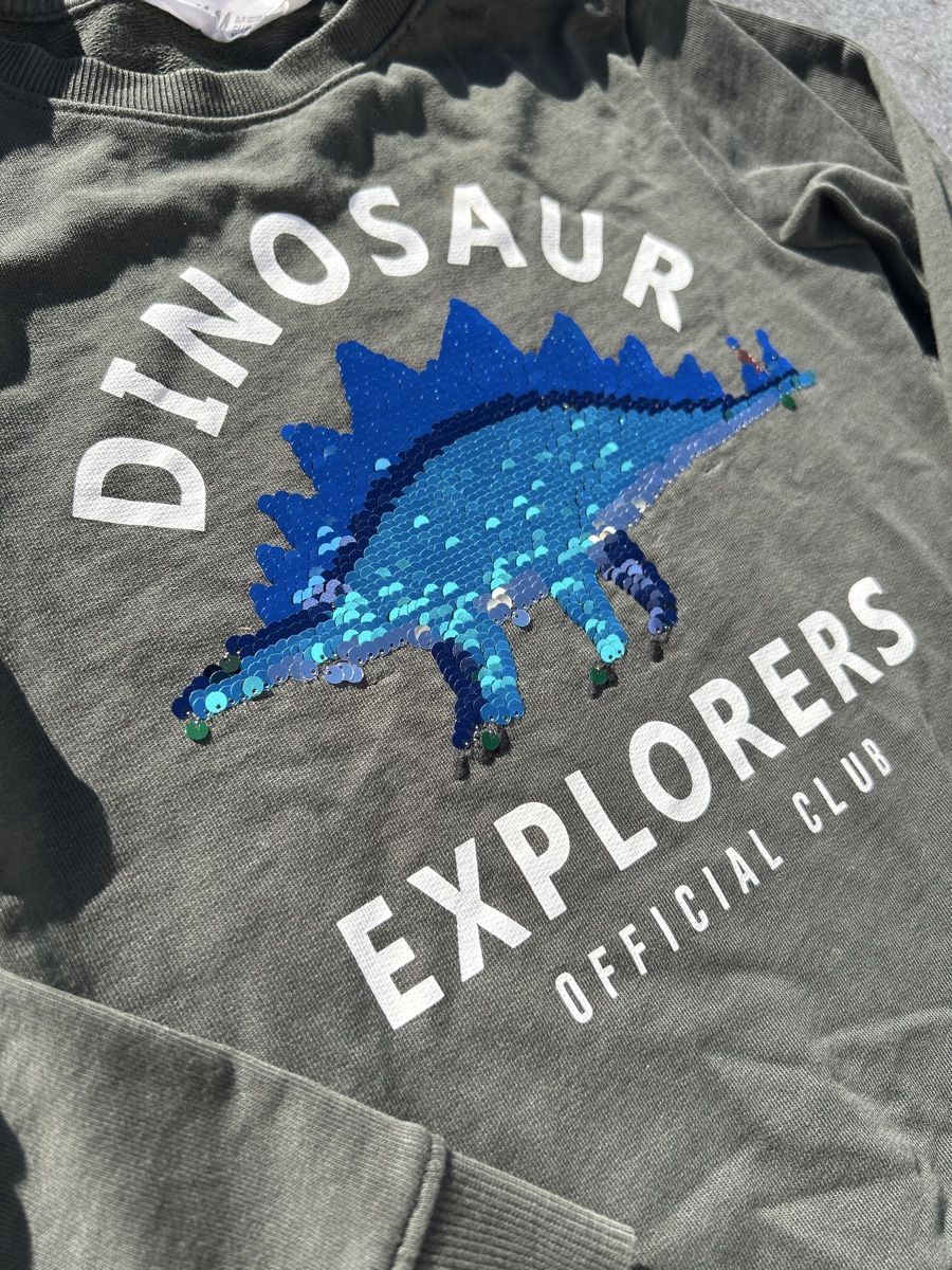 Pullover & Sweatshirts: Dino Kinder Pulli Explorers Grösse 122/128- – Gebraucht aus Arisdorf von Checkmaster 1