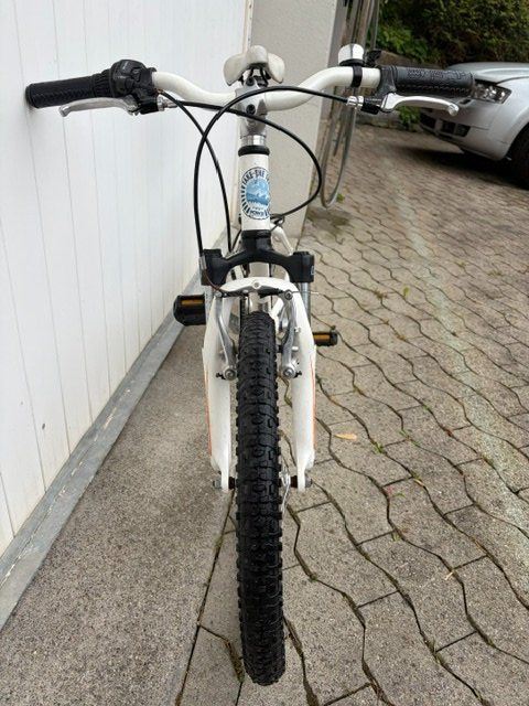 Specialized Biciclette: Specialized Mountainbike Jugend – Usato da Pfaffhausen venduto da salesswiss 4