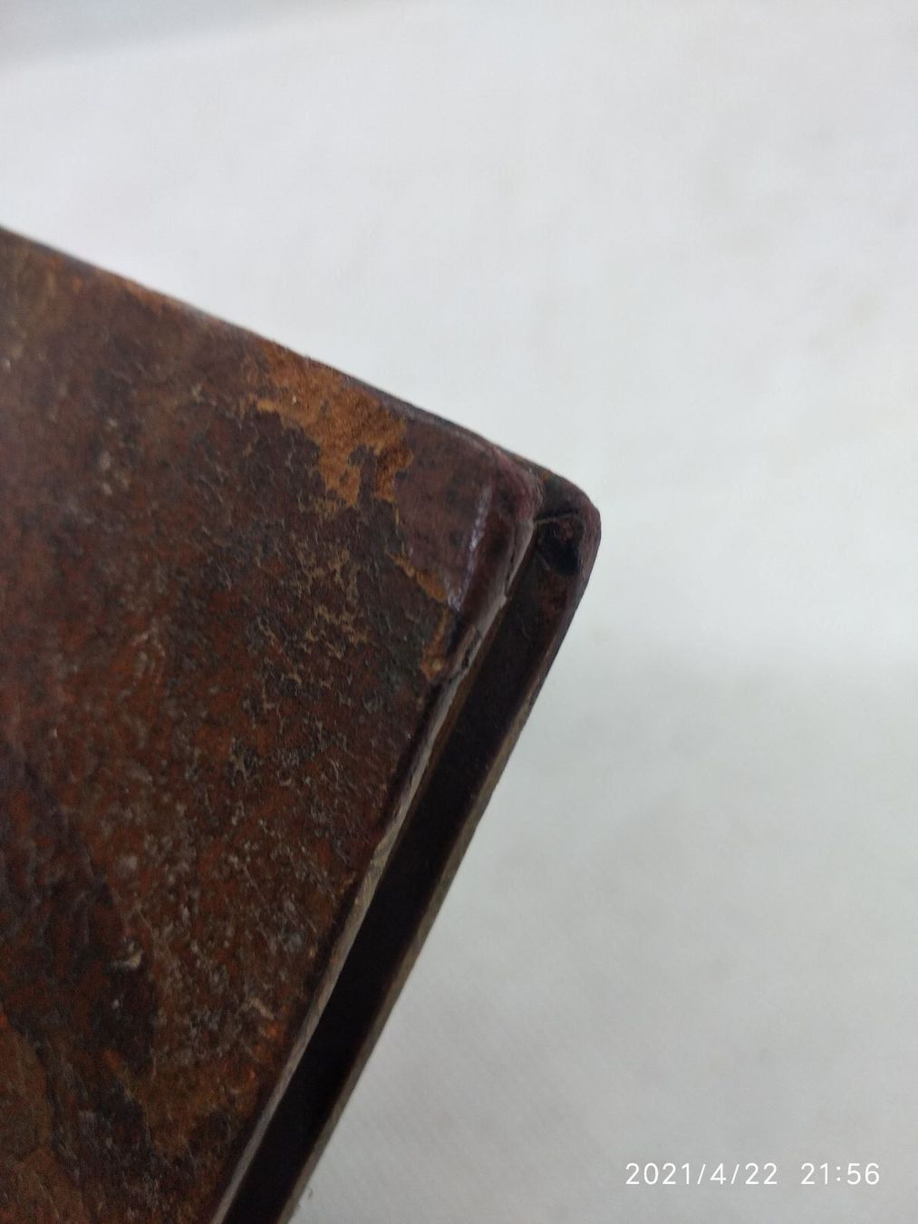 Libri: BAROCKLITERATUR - RAPIN - 1670 – Usato da Goldach venduto da Gaip 8