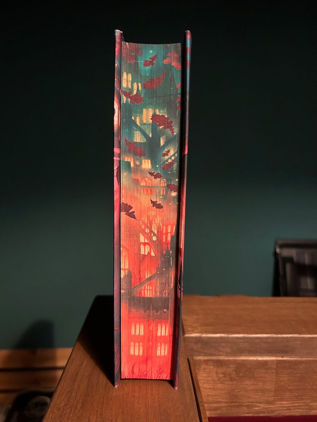 Libri: Immortal Consequences - Fairyloot – Usato da Cavigliano venduto da neraja94 1
