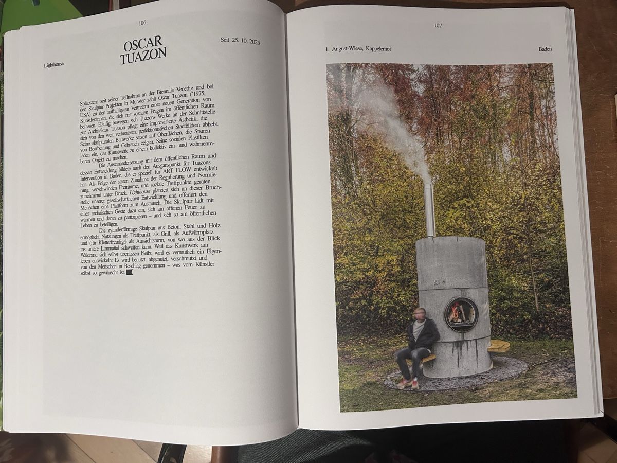 Libri: ART FLOW Kunst im Limmattal 2023-2025 – Usato da Zürich venduto da ann_9fv5 2
