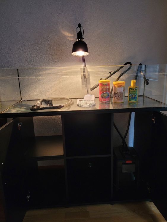 Hängendes Schildkröten-Dock Aus Acryl – Verstellbare Sonnenplattform Mit Kletterrampe