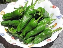 POIVRON ESPAGNOL Del Padron 20g