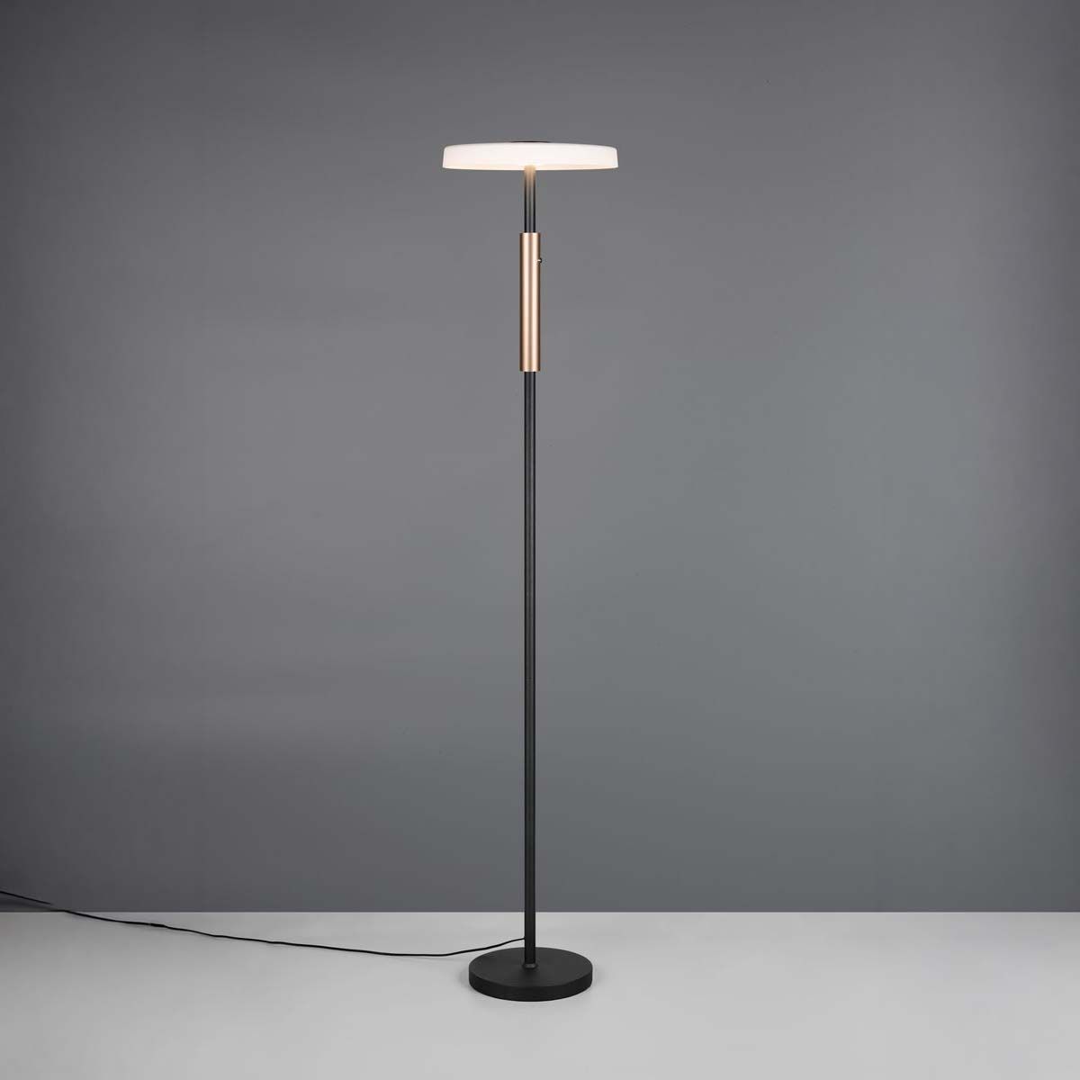 Lampade: LED Stehleuchte, Dimmer, 160 cm Höhe – Nuovo (secondo la descrizione) da Kreuzlingen venduto da Smart-Light