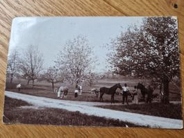Uster Schloss Fotokarte (Greifensee Walter Tell Marke)