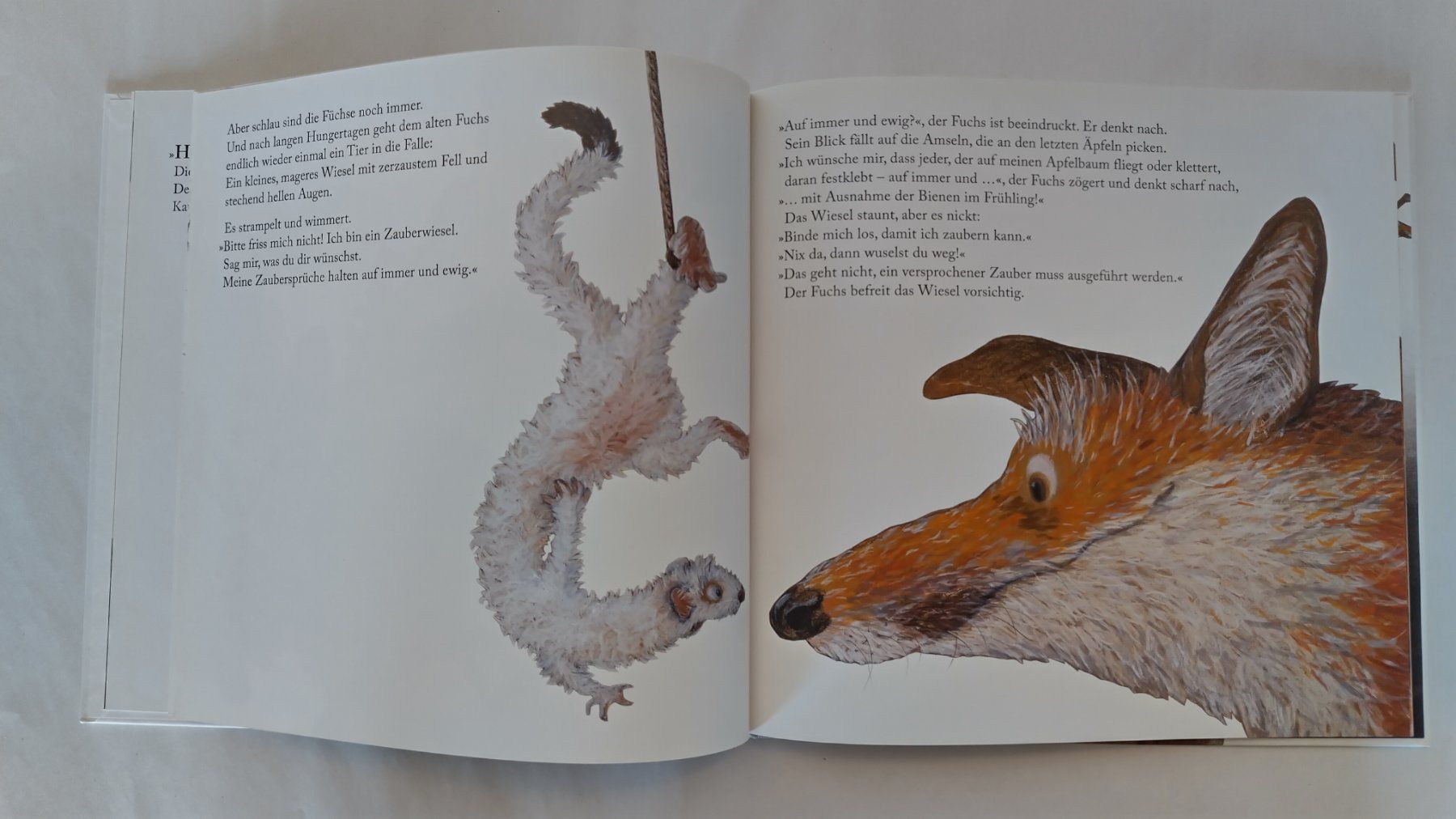 Libri: Kathrin Schärer - Der Tod auf dem Apfelbaum / Bilderbuch – Usato da Bellach venduto da JingleJerry 5