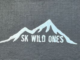 SK Wilde Ones BRAGI DER KLEINE PRAKTISCHE EDC STACHEL Messer