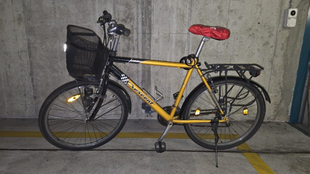 Biciclette: Velo 26'' – Usato da Meilen venduto da GabsZurich