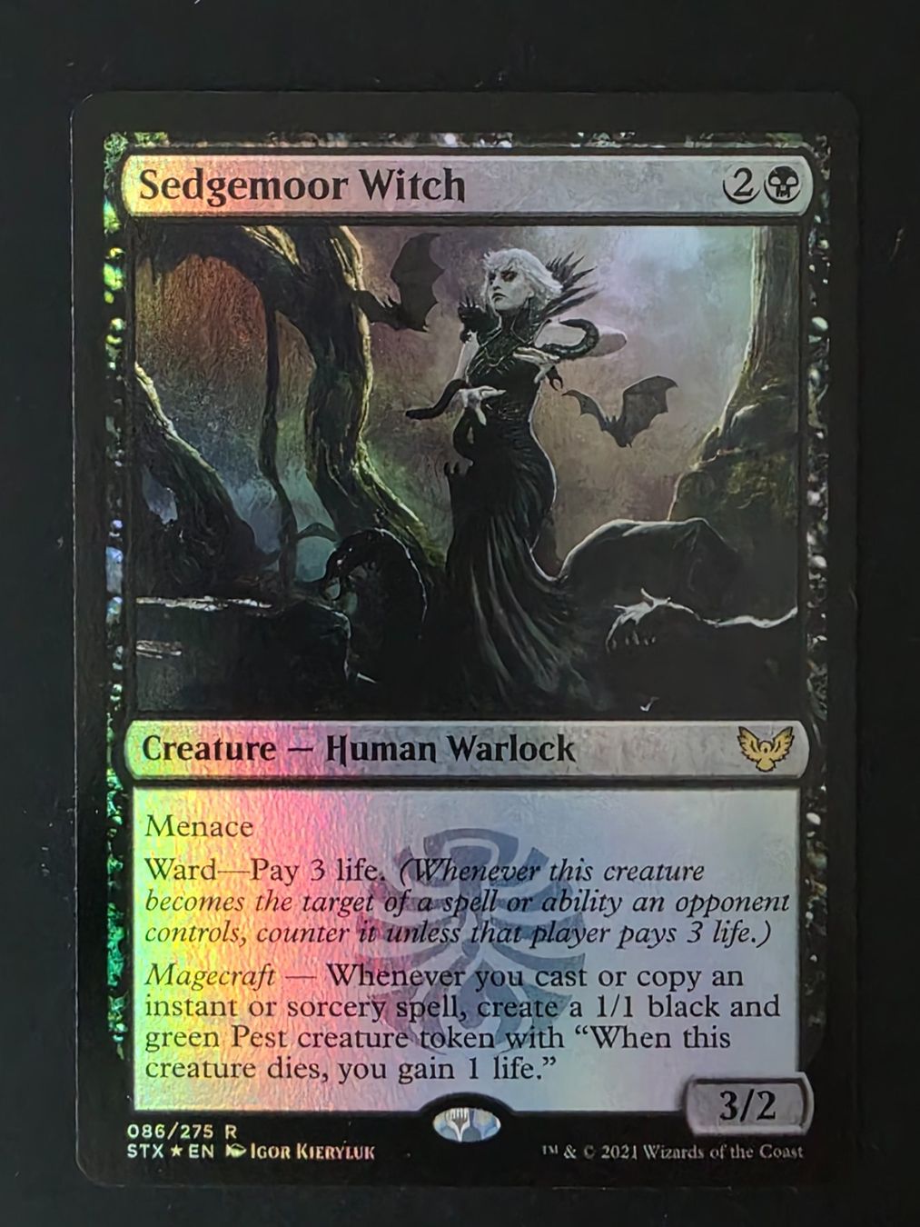 Magic The Gathering Sammelbilder & Trading cards: Sedgemoor Witch - Foil - MTG – Gebraucht aus Zürich von Semagets