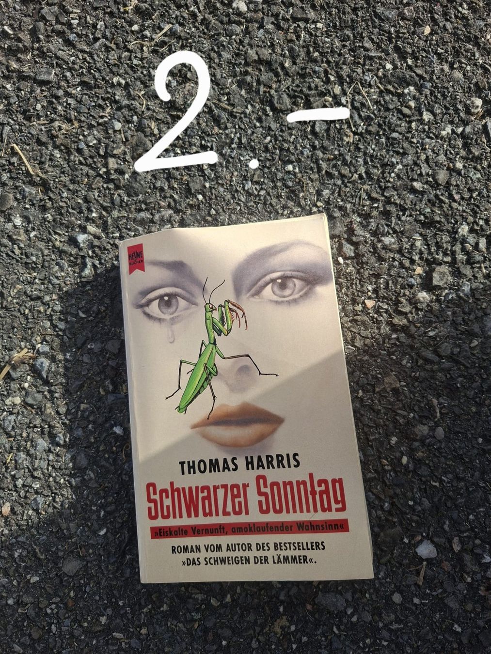 Libri: Buch: Schwarzer Sonntag – Usato da Schmiedrued venduto da lau_5zch