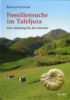 Jura, Fossiliensuche, Geologie